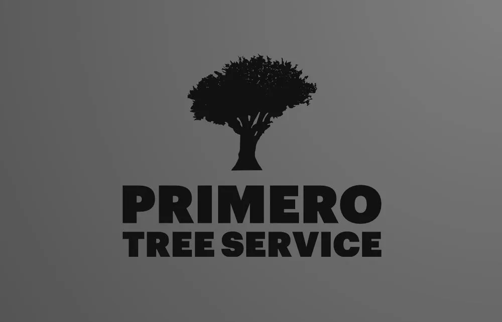 Affordable residential landscaping in Clearwater, FL - Primero Tree Service