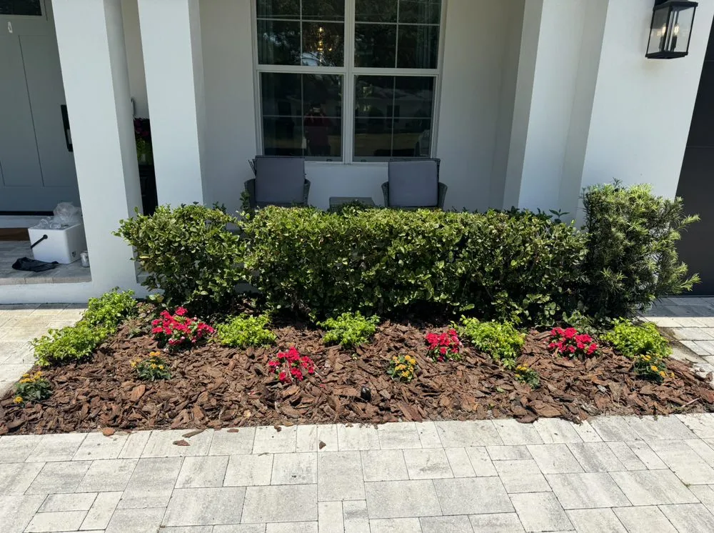 Local lawn care service for homes in Clearwater, FL by Primero Tree Service