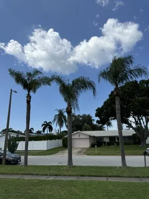 Primero Tree Service Logo