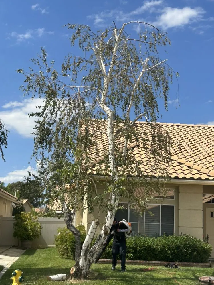 Top-rated garden landscaping experts serving Beaumont, CA - PrimeScape Landscaping