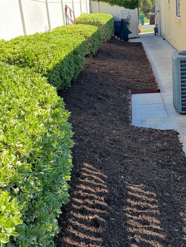 Local garden landscaping for outdoor upgrades across Beaumont, CA - PrimeScape Landscaping
