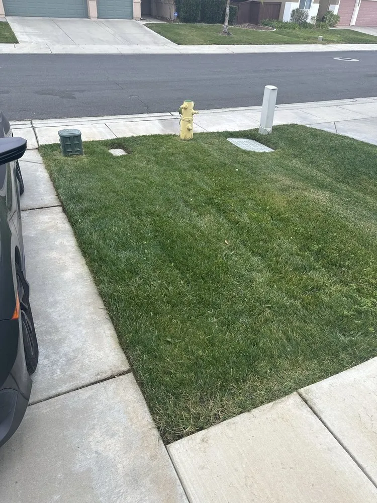 Expert lawn care service in Beaumont, CA - PrimeScape Landscaping