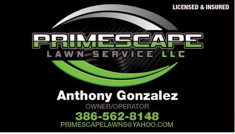 Expert yard cleanup service in Port Orange, FL by Primescape Lawn Service