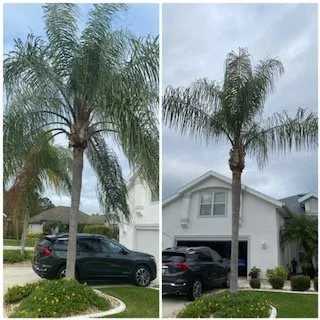 Top-rated yard maintenance experts serving Port Orange, FL - Primescape Lawn Service