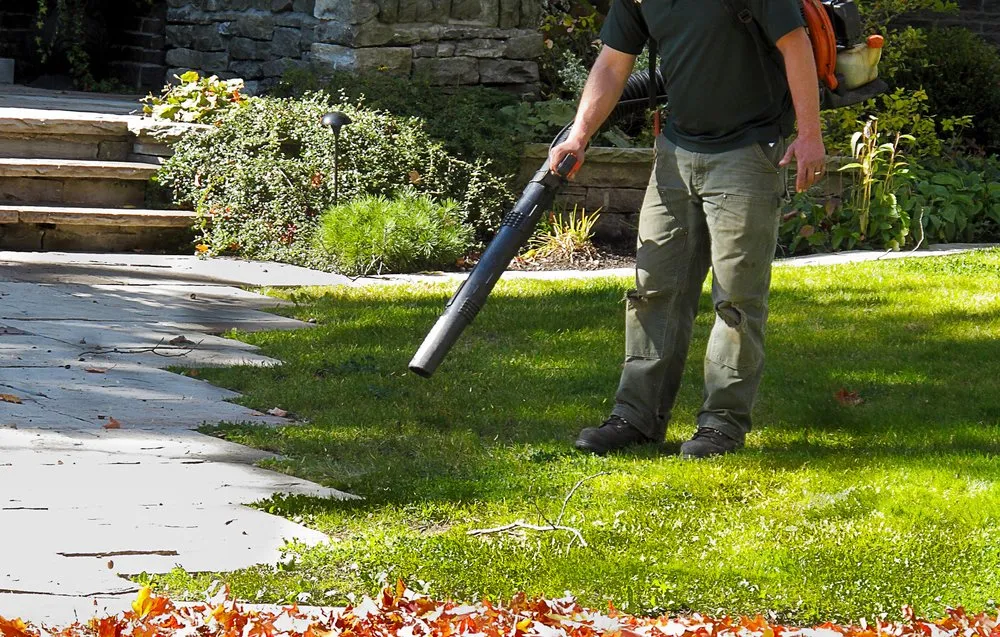 Affordable landscaping services experts serving Miami, FL - PrimeScape