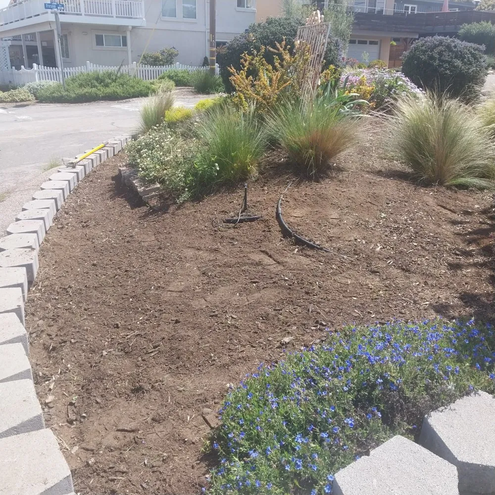 Affordable lawn mowing service in San Luis Obispo, CA - PrimeScape Solutions