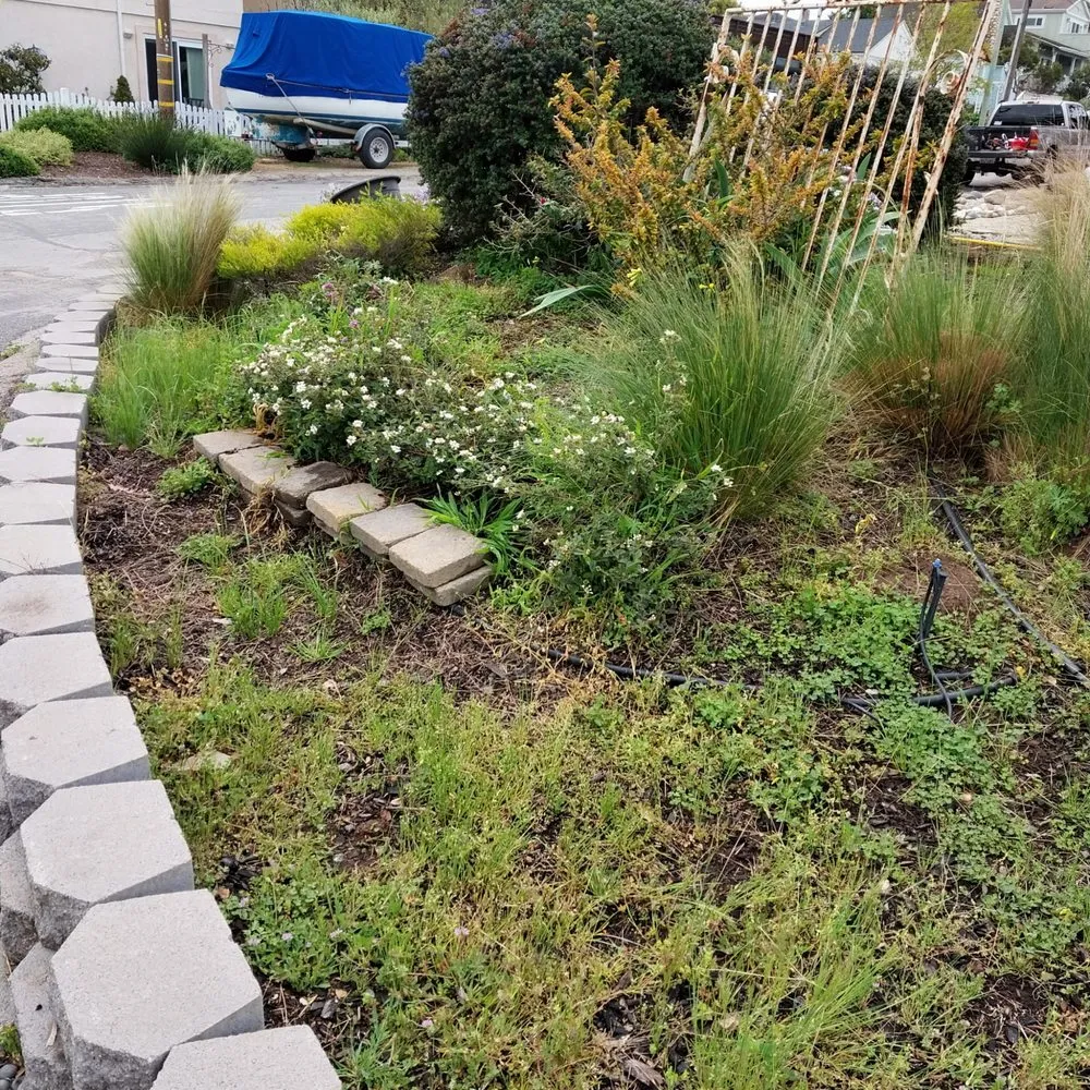 Professional outdoor landscaping near you in San Luis Obispo, CA by PrimeScape Solutions