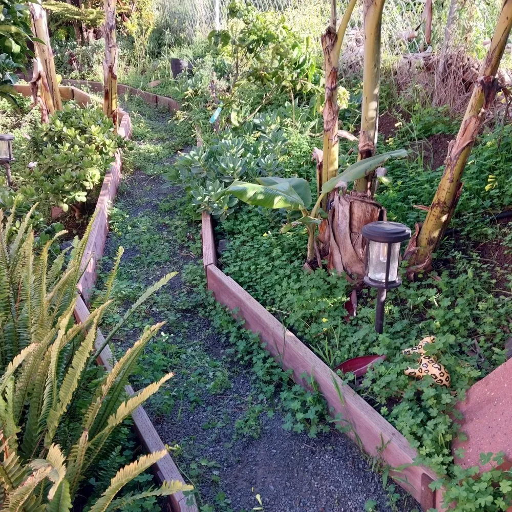 Affordable garden landscaping experts serving San Luis Obispo, CA - PrimeScape Solutions