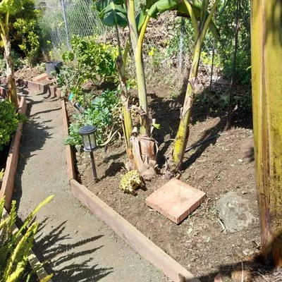 PrimeScape Solutions Logo