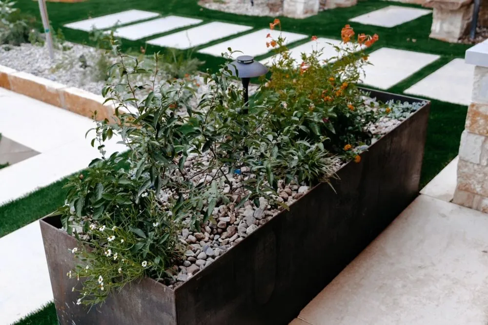 Reliable lawn care service in Buda, TX - PrimeScapes