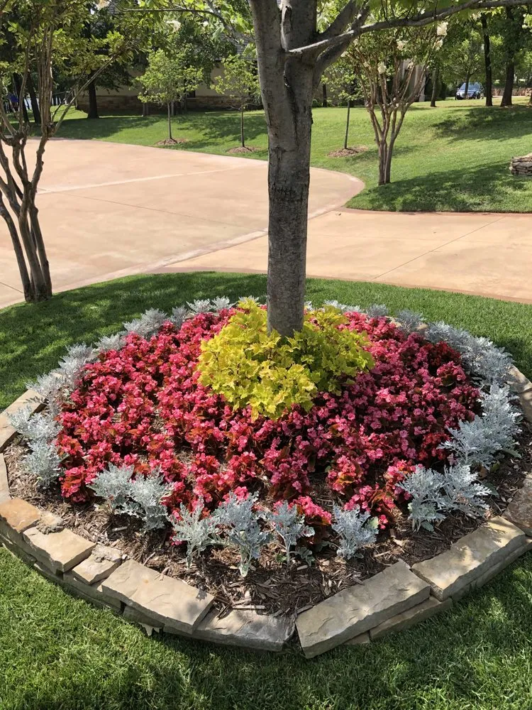 Reliable yard maintenance for year-round maintenance in Oklahoma City, OK by Primescapes Lawn and Landscape