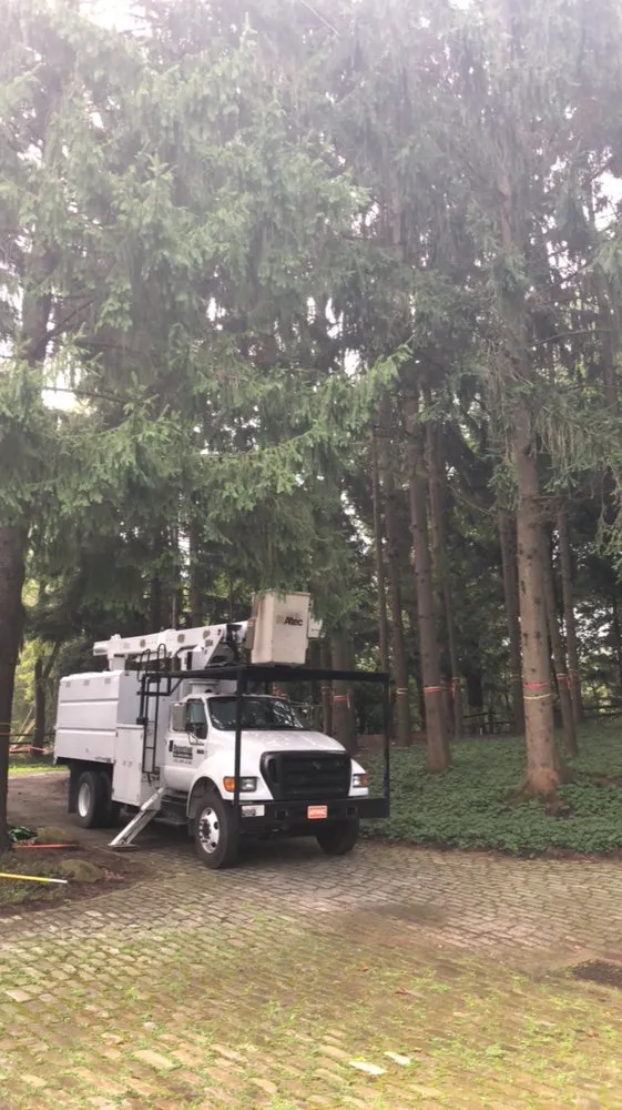 Reliable outdoor landscaping for homes in Imperial, PA by Primetime Tree and Landscape Services