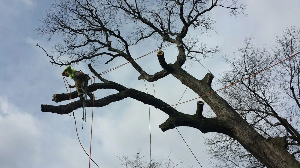 Expert residential landscaping for residential properties in Imperial, PA by Primetime Tree and Landscape Services