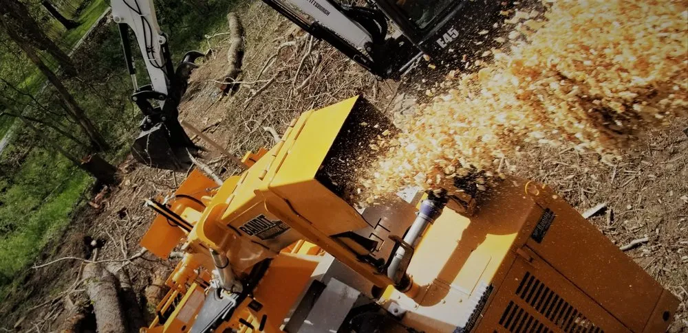 Trusted yard cleanup service in Imperial, PA - Primetime Tree and Landscape Services