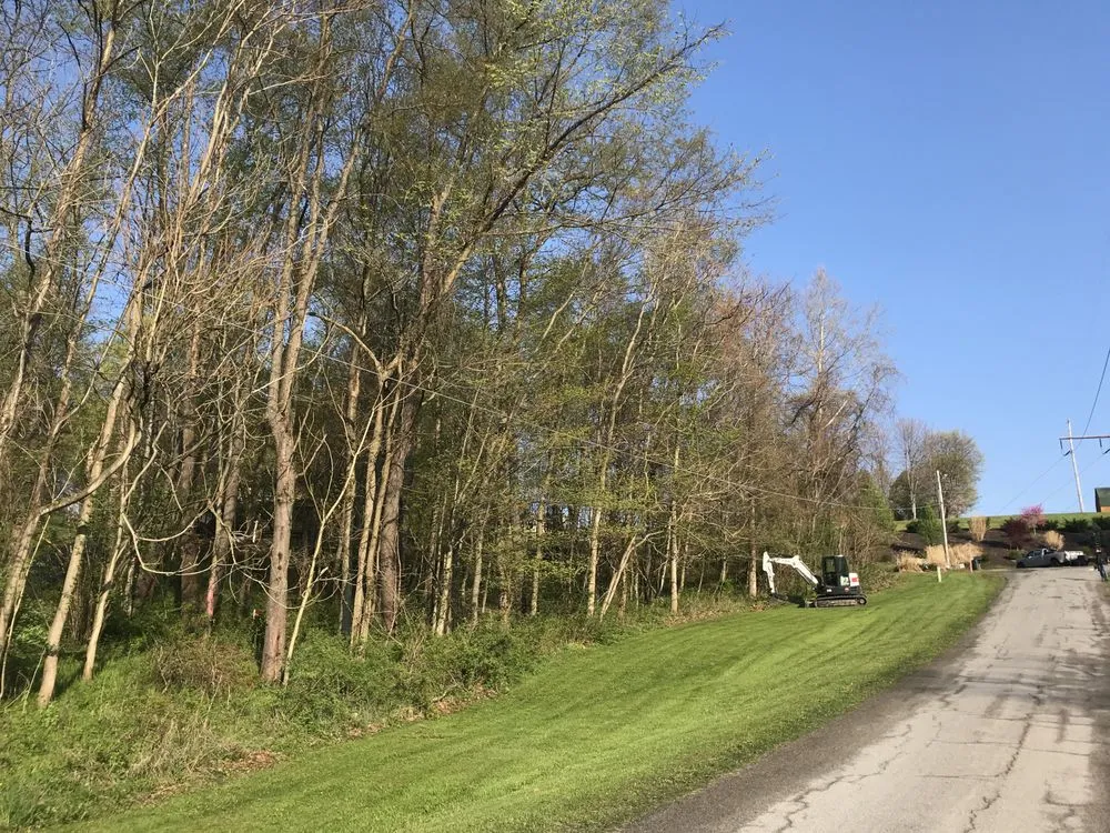 Affordable lawn care service experts serving Imperial, PA - Primetime Tree and Landscape Services