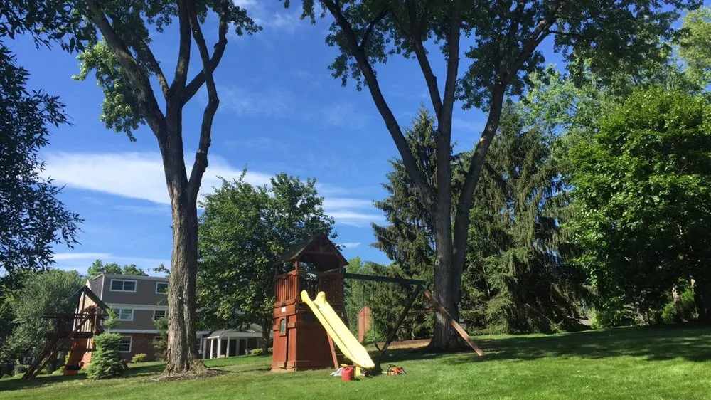 Professional yard maintenance experts serving Imperial, PA - Primetime Tree and Landscape Services