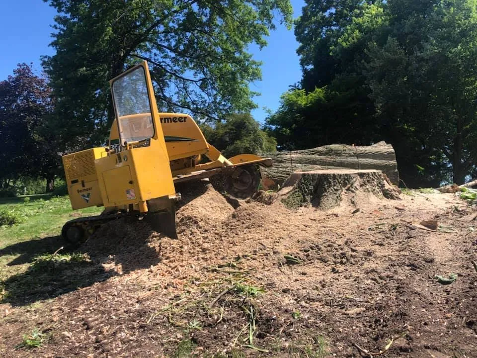 Local landscape design for homes across Imperial, PA - Primetime Tree and Landscape Services