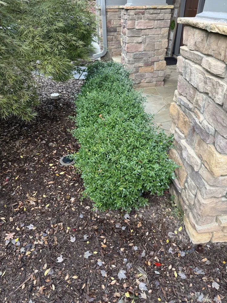 Top-rated residential landscaping for homes across Jefferson, GA - PrimeTrimScapes Landscaping