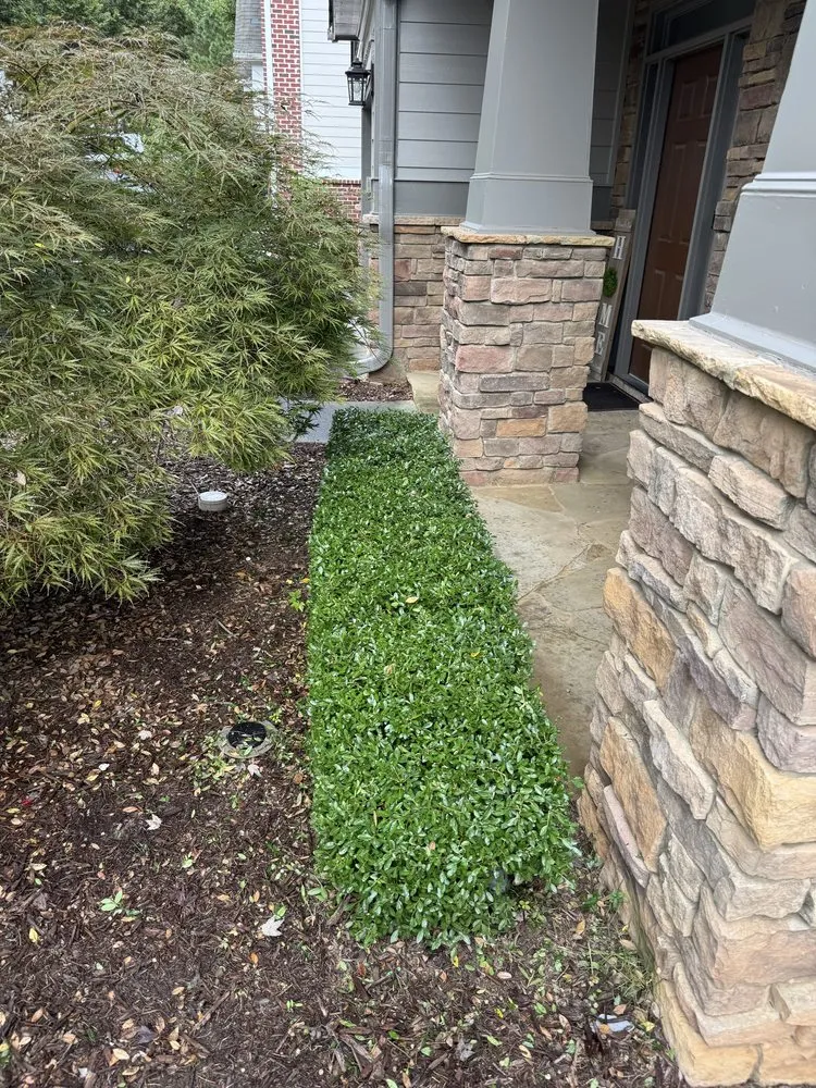 Trusted yard maintenance in Jefferson, GA - PrimeTrimScapes Landscaping