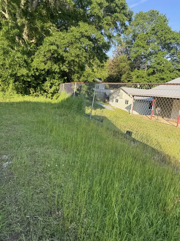 Expert residential landscaping for outdoor upgrades across Jefferson, GA - PrimeTrimScapes Landscaping