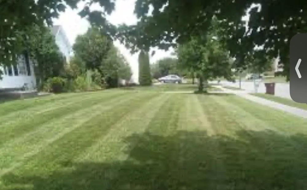 Custom landscape installation in Tracy, CA - Primitive Lawncare