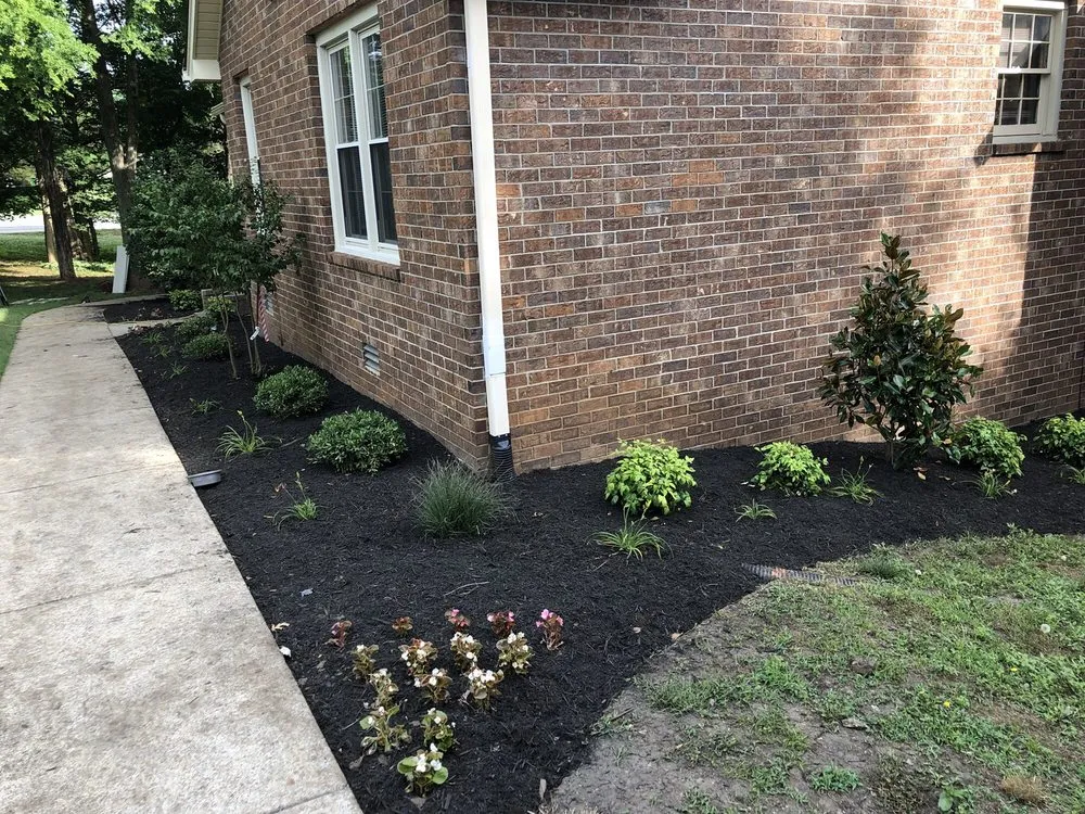 Custom yard cleanup service in Murfreesboro, TN by Primm's Landscaping