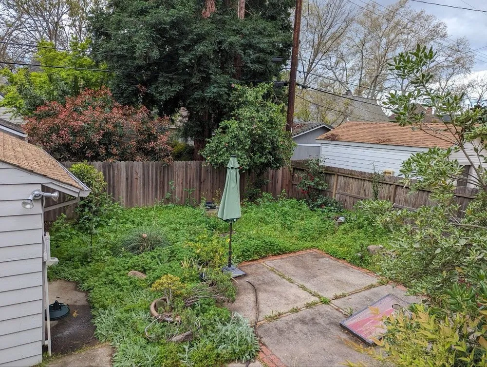 Top-rated landscaping services experts serving Sacramento, CA - Primo Landscape + Design