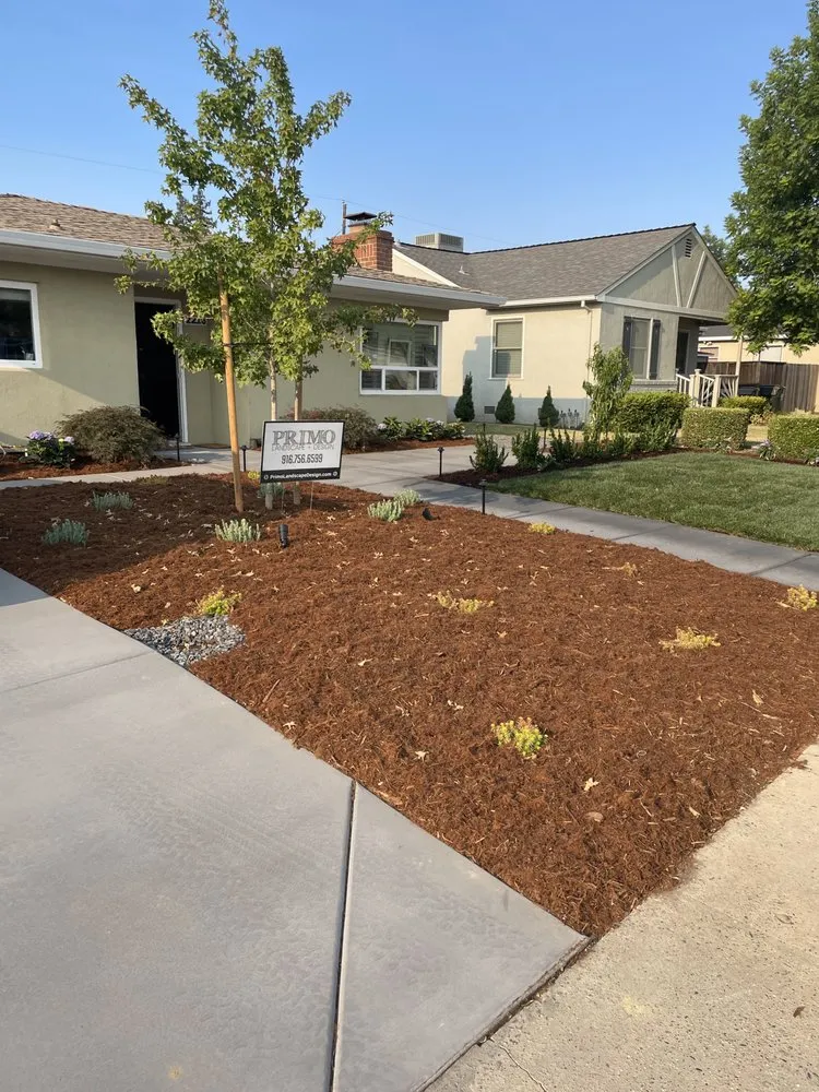 Local outdoor landscaping in Sacramento, CA - Primo Landscape + Design