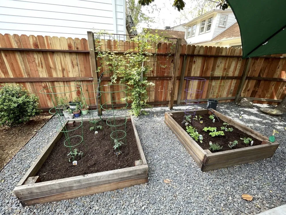 Local landscape design near you in Sacramento, CA by Primo Landscape + Design