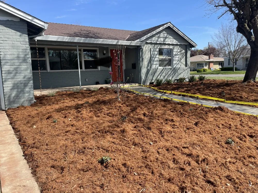 Expert yard cleanup service with custom design across Sacramento, CA - Primo Landscape + Design