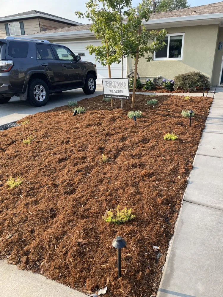 Local landscape design for residential properties across Sacramento, CA - Primo Landscape + Design