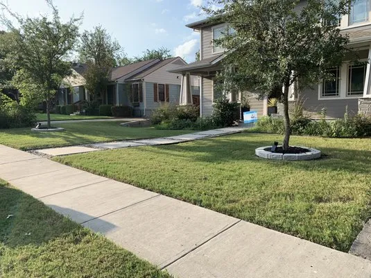 Primo Lawn Care Logo