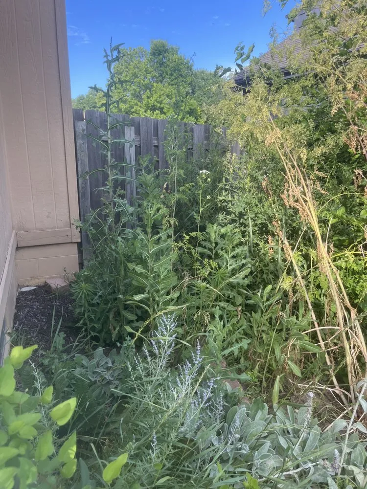 Affordable landscape design experts serving Omaha, NE - Primo Lawns