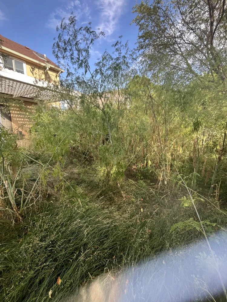 Professional garden landscaping experts serving Omaha, NE - Primo Lawns