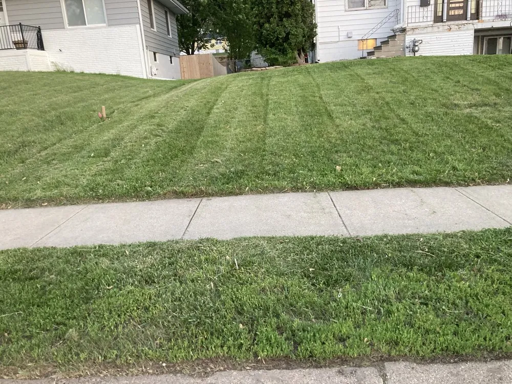 Professional yard maintenance in Omaha, NE - Primo Lawns
