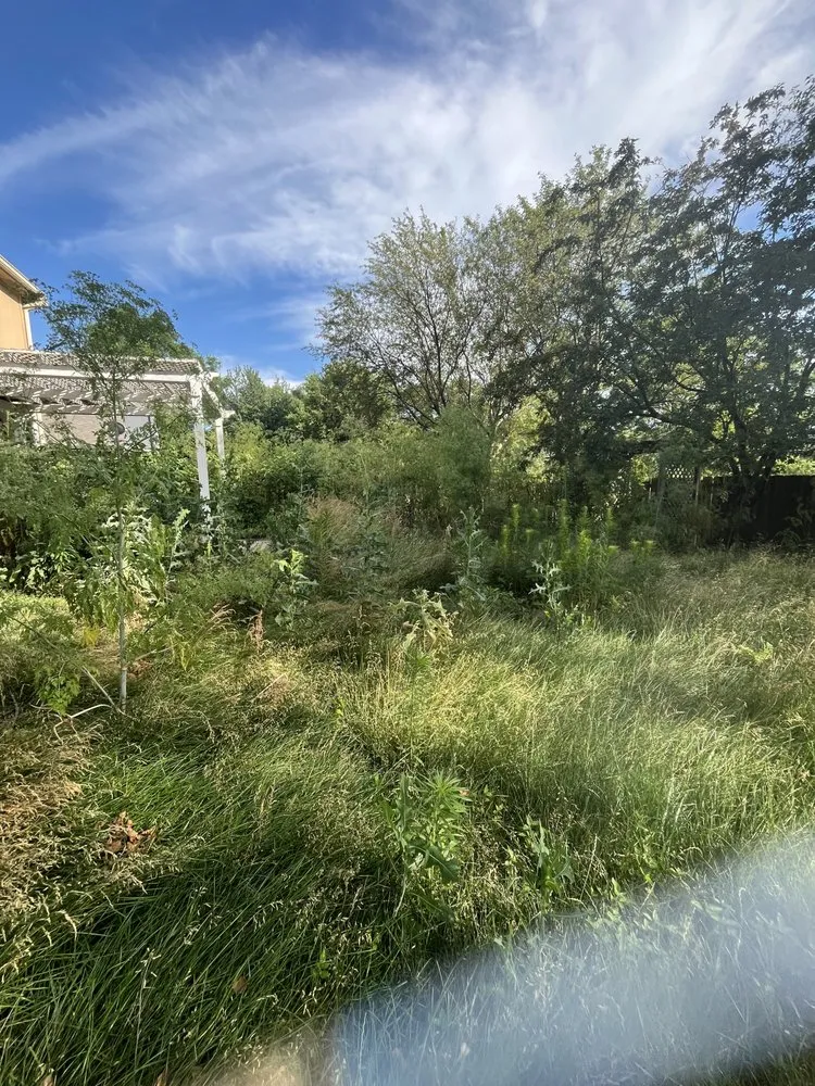 Custom outdoor landscaping for year-round maintenance in Omaha, NE by Primo Lawns