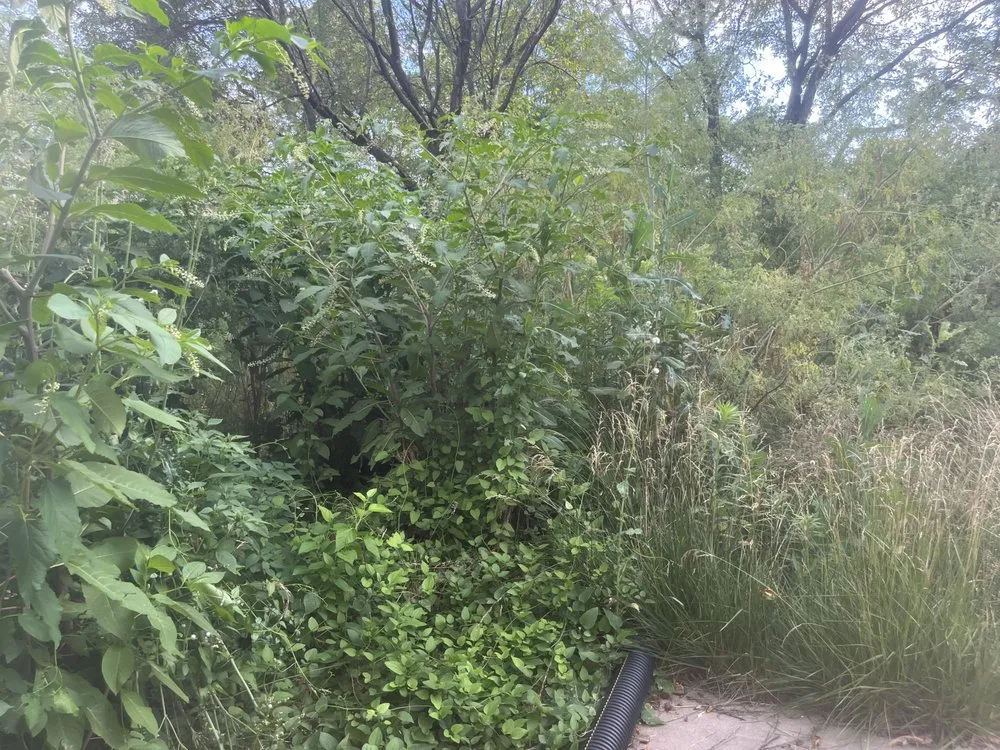 Reliable garden landscaping experts serving Omaha, NE - Primo Lawns