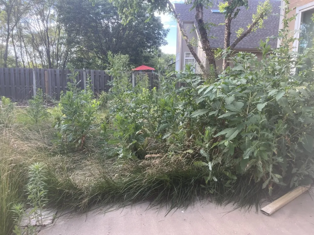 Custom residential landscaping for residential properties across Omaha, NE - Primo Lawns