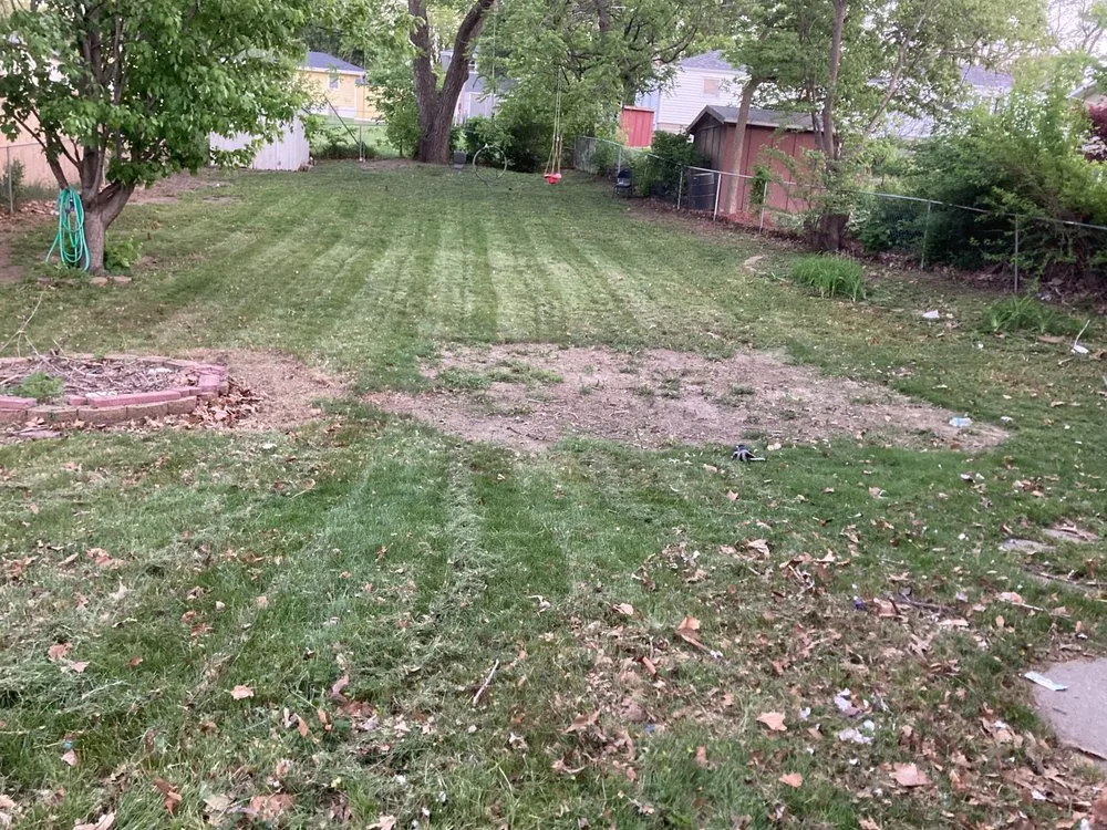 Expert yard maintenance in Omaha, NE - Primo Lawns