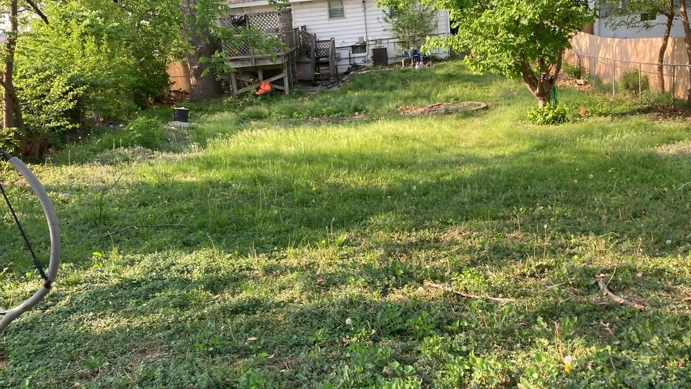 Professional yard cleanup service experts serving Omaha, NE - Primo Lawns