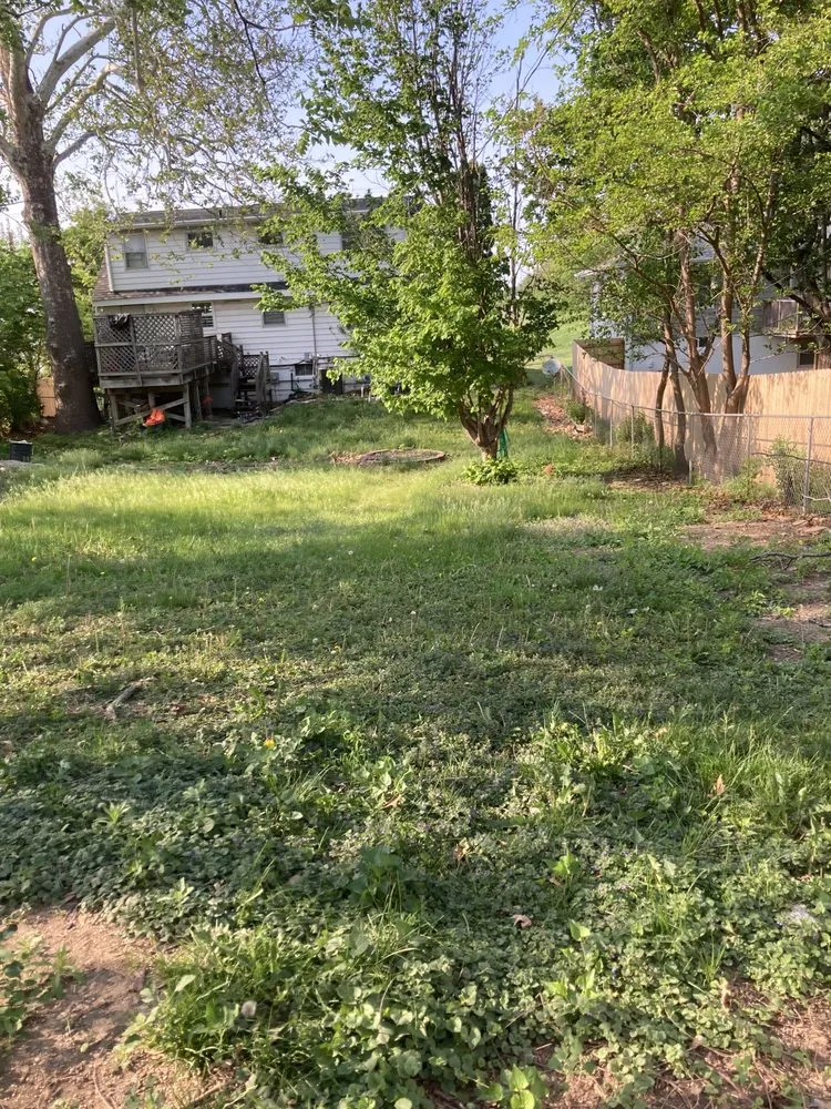 Reliable landscape design with custom design in Omaha, NE by Primo Lawns