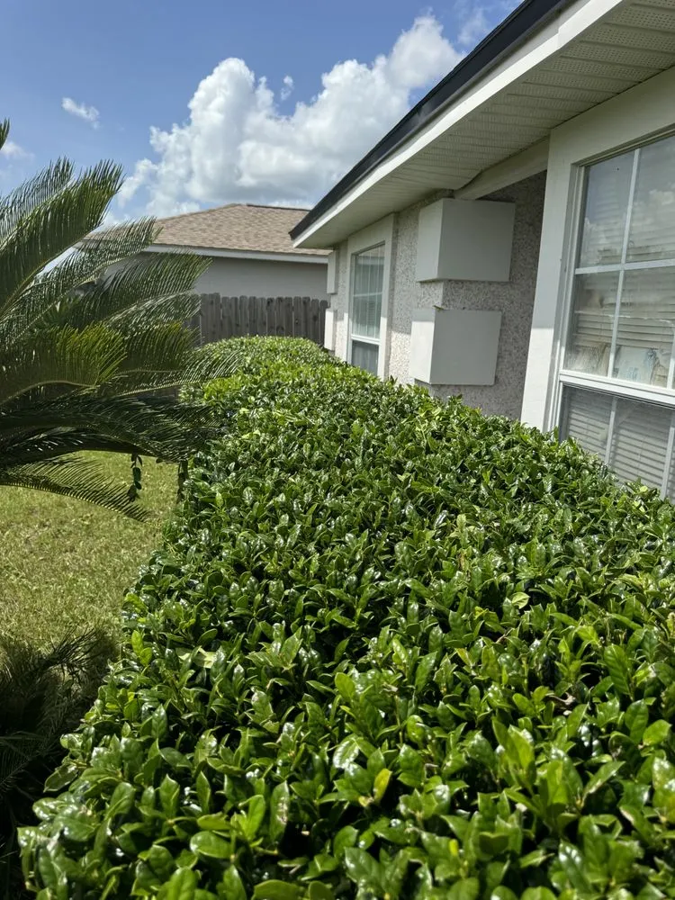 Affordable landscape design with custom design in Green Cove Springs, FL by Primos Grow & Mow