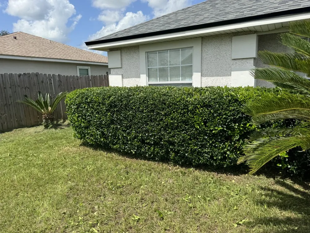 Expert yard cleanup service experts serving Green Cove Springs, FL - Primos Grow & Mow