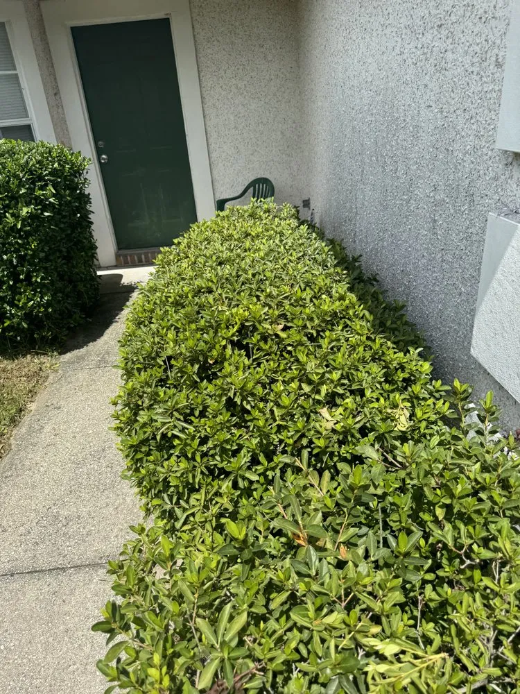 Professional lawn mowing service for year-round maintenance across Green Cove Springs, FL - Primos Grow & Mow