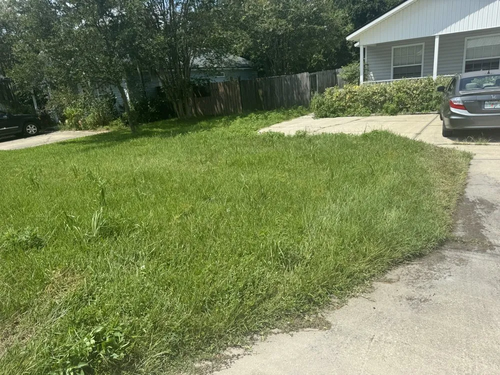 Top-rated yard cleanup service for homes in Green Cove Springs, FL by Primos Grow & Mow