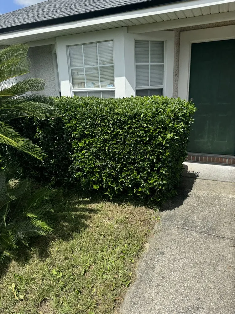 Expert landscape installation in Green Cove Springs, FL by Primos Grow & Mow