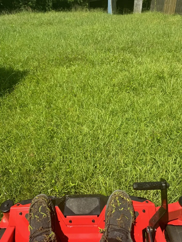 Local lawn care service for year-round maintenance in Green Cove Springs, FL by Primos Grow & Mow