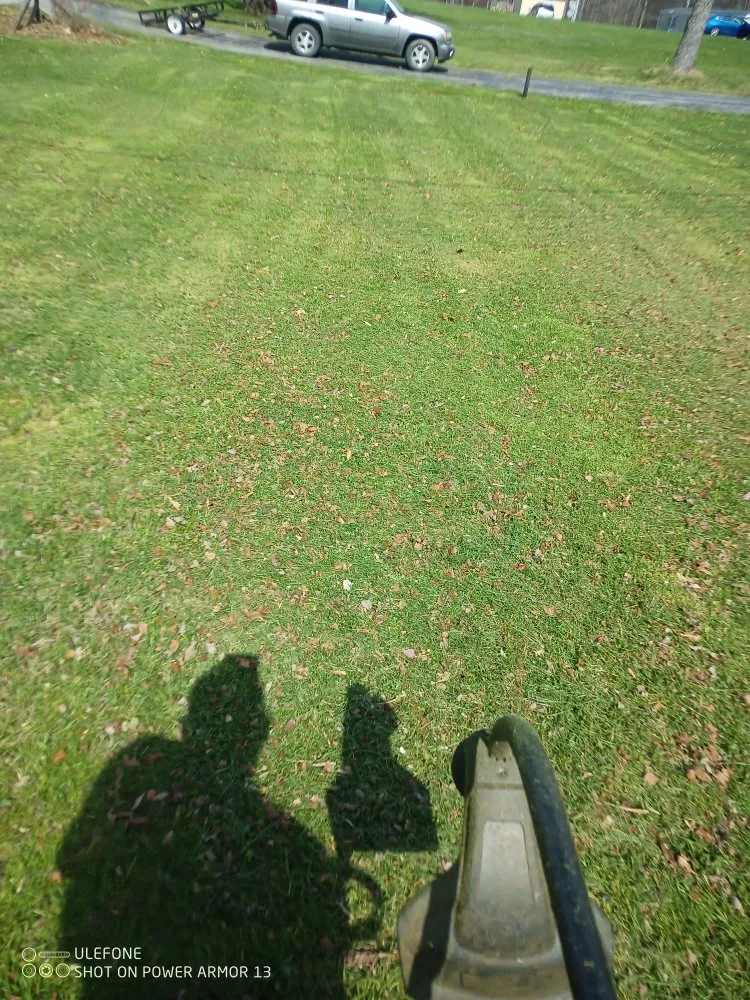 Professional landscape design in Beattyville, KY by primos landscaping