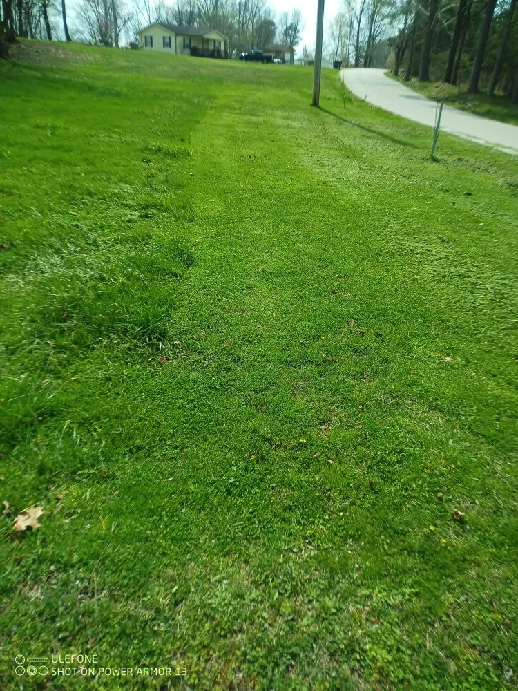 Reliable yard cleanup service for outdoor upgrades in Beattyville, KY by primos landscaping