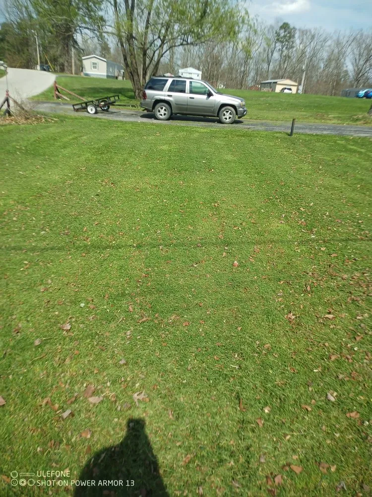 Affordable landscape design experts serving Beattyville, KY - primos landscaping